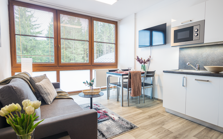 Apartmán 16 - Třílůžkové apartmá s rozkládací pohovkou