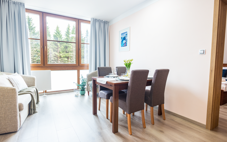 Apartmán 20 - Třílůžkové apartmá s rozkládací pohovkou